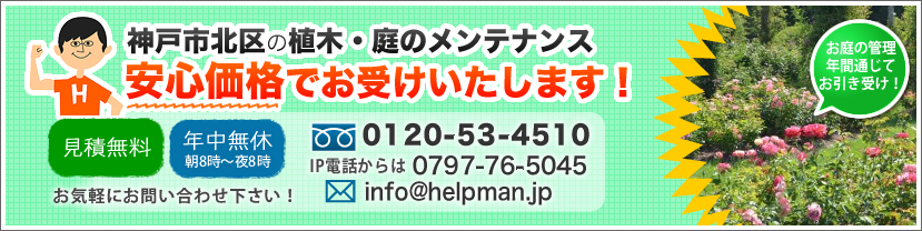 神戸市北区の造園・植木・庭造り 安心価格でお受けいたします！